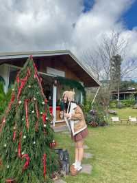 22 AQUARIUS Glamping Cafe