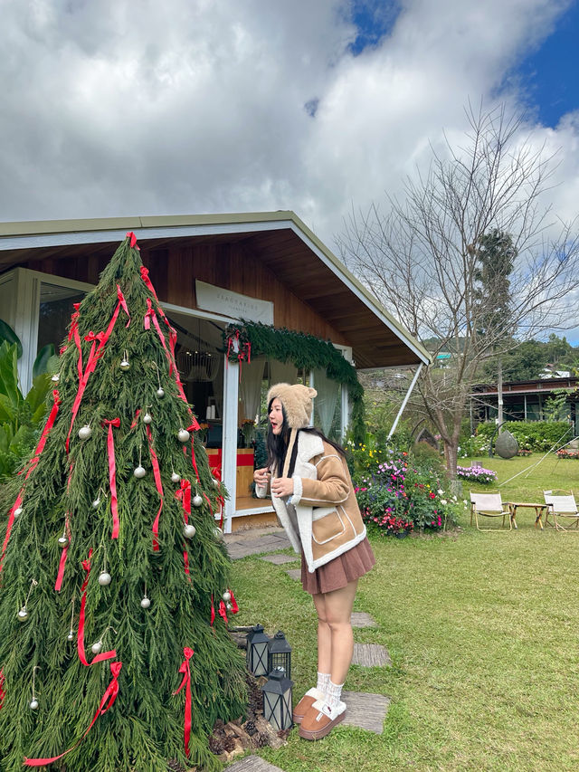 22 AQUARIUS Glamping Cafe