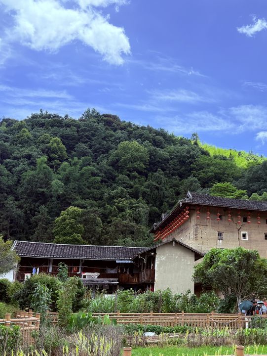 🌿探訪雲水謠古鎮｜古榕守護·情人橋畔·土樓記憶