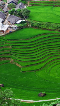 โบสถ์ซาปา(Sapa Stone Church) โบสถ์หินเก่าแก่