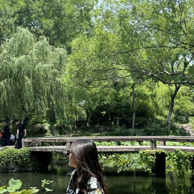 Garden Serenity🏯  