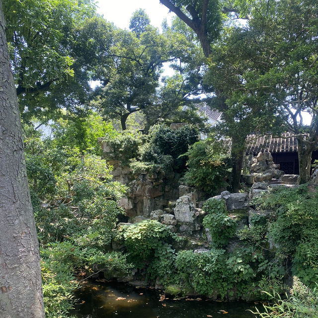 Garden Serenity🏯  