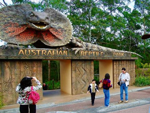 🐍Công viên bò sát Úc: Gặp gỡ động vật hoang dã ở cự ly gần