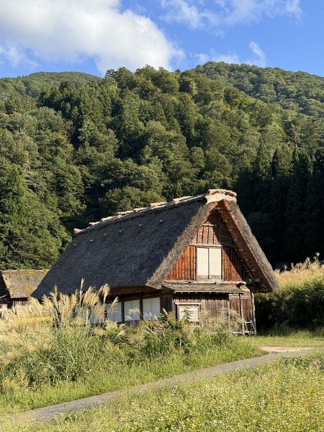 夏末白川鄉不一樣的風景