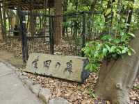 神戶生田神社晴天漫步