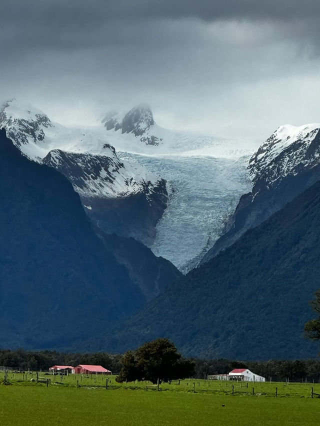 Discovering the Majestic Fox Glacier in West Coast Discovering the Majestic Fox Glacier in West Coast
