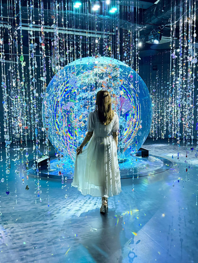 神戸 ❤︎ アクアリウムとアートが融合した新感覚体験🦋✨ 
