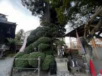 仙台・愛宕神社｜歴史・景観・御利益がひしめくパワースポット