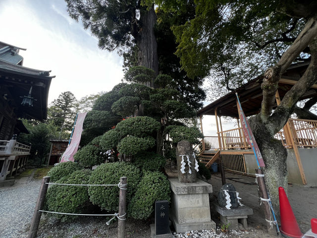 仙台・愛宕神社｜歴史・景観・御利益がひしめくパワースポット