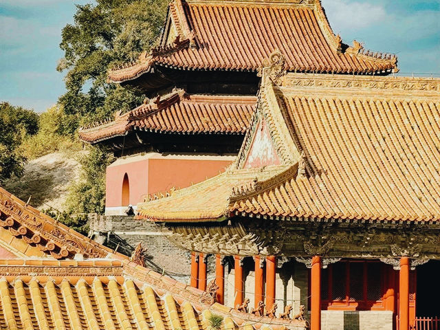 北陵公園🇨🇳