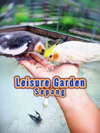 My Sepang Half-day Itinerary: A Fun-Filled Family Day at Leisure Garden! 🐤🌴🦜🦢🌳🪿🌿🦝🐴