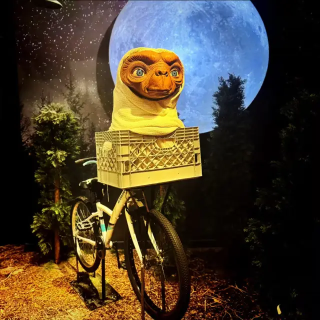 Snapshots of Fame and Fun