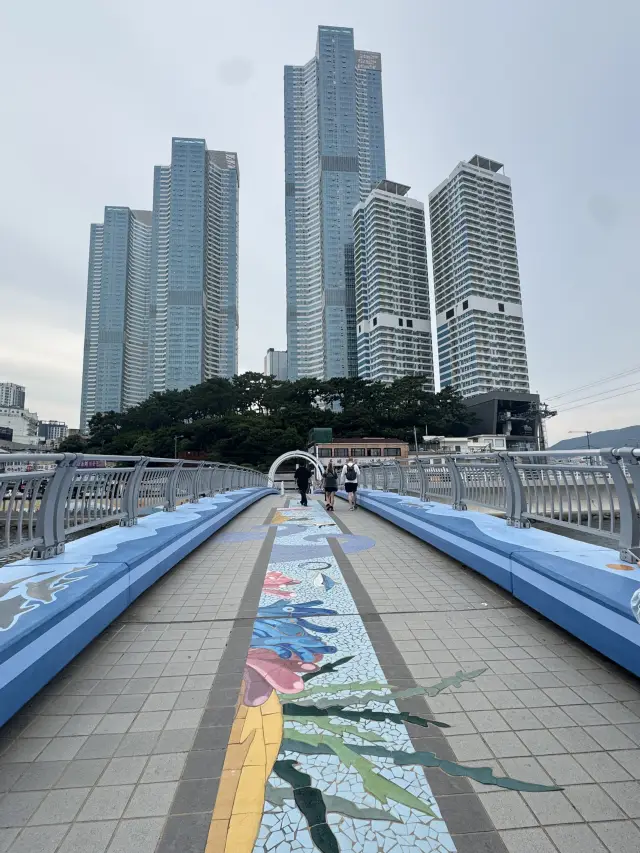 My First ever cable car experience was lovely 