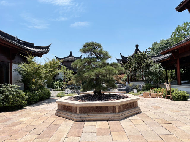  上海世博文化公園「申園」：都市中的江南園林瑰寶