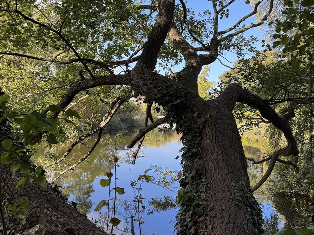 Botanical Garden