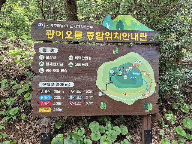 Halla Arboretum, Jeju Island,S.Korea