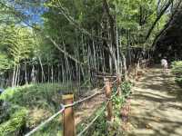 Halla Arboretum, Jeju Island,S.Korea
