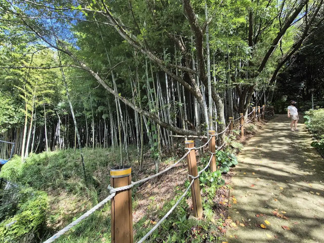 Halla Arboretum, Jeju Island,S.Korea