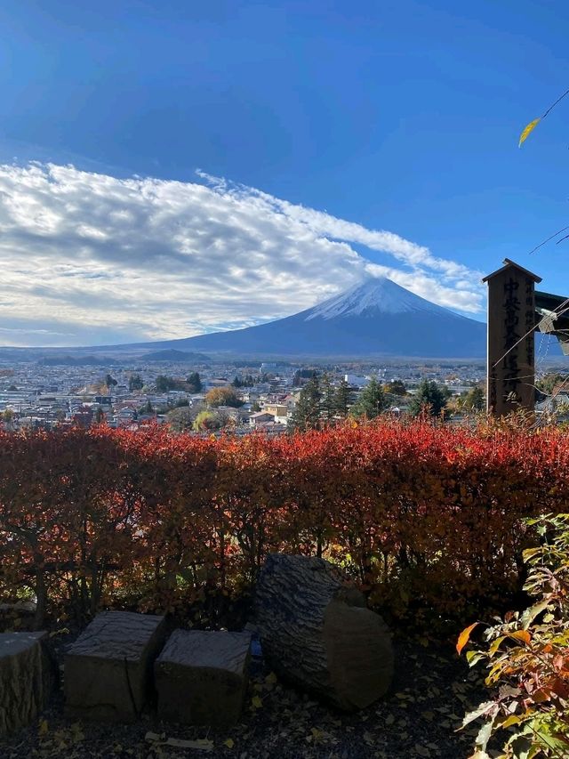Awesome Mt. Fuji Views at Arakurayama Sengen Park, Japan