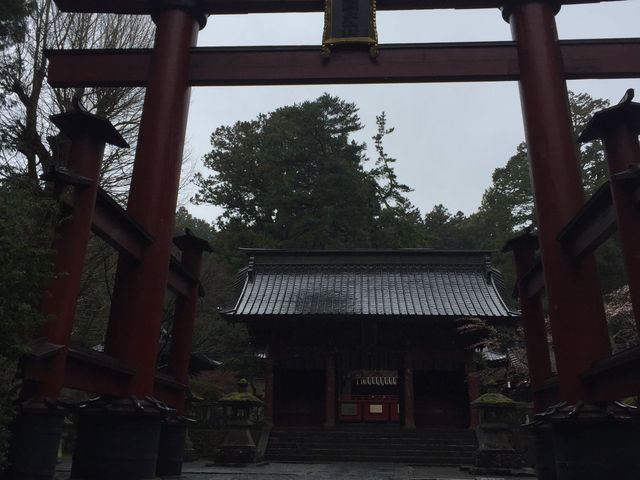 Fujiyoshida Forest Gem🌲