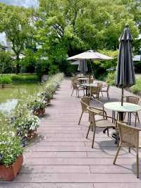 🌸 Ishibashi Cultural Center — A Garden of Art, Music, and Flowers in Kurume