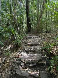 【オーストラリア・ダーウィン】滝と森が織りなす癒しの大自然「リッチフィールド国立公園」🌴💧🌈