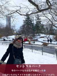 インスタ映えスポット！
