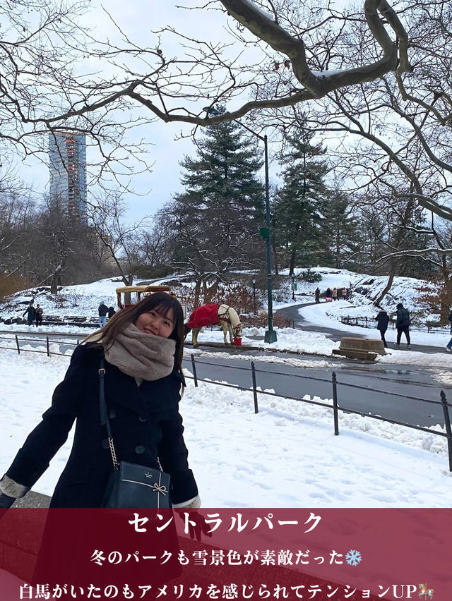 インスタ映えスポット！