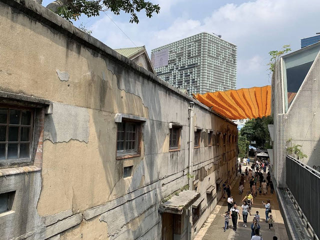 🎭☕ Creativity in Full Bloom at Huashan 1914 Creative Park 🎨🌸