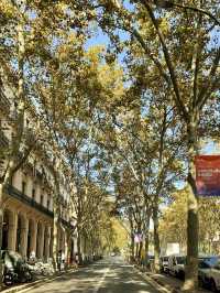🇪🇸스페인 바르셀로나 자유여행 Day 2(1)