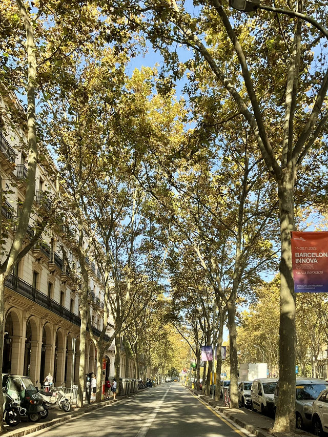 🇪🇸스페인 바르셀로나 자유여행 Day 2(1)