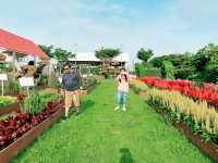 งานเมล็ดพันธุ์ บริษัทศรแดง