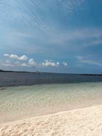Korea's Rare Gem: The Coral Sand Miracle