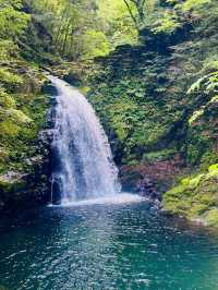 猛暑の中🫠涼を求めるならここ行って✨一日中自然を満喫できる滝のテーマパーク😉