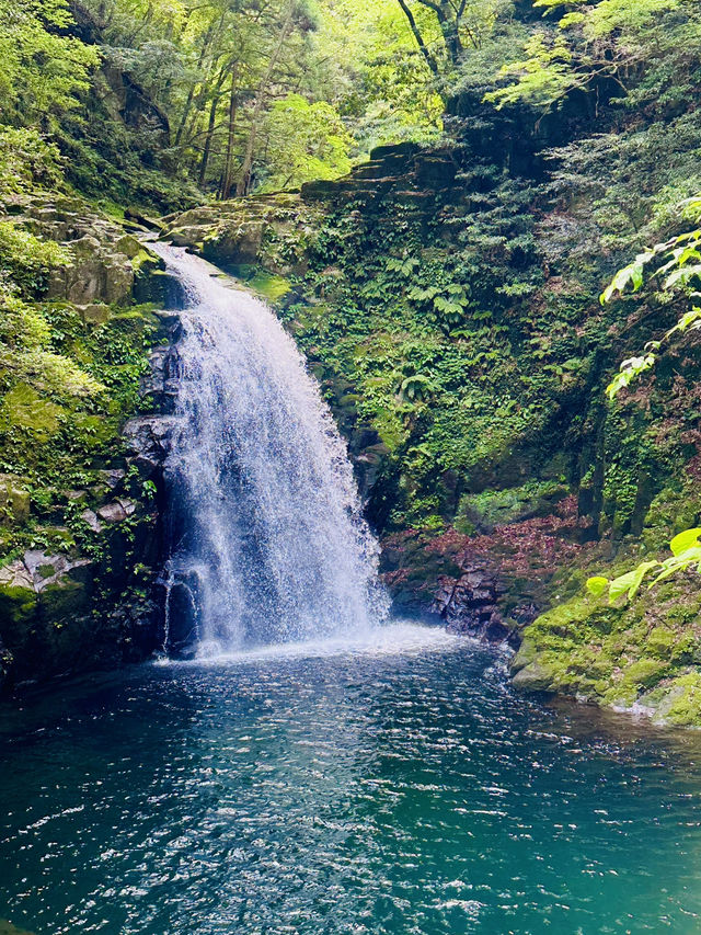 猛暑の中🫠涼を求めるならここ行って✨一日中自然を満喫できる滝のテーマパーク😉 猛暑の中🫠涼を求めるならここ行って✨一日中自然を満喫できる滝のテーマパーク😉