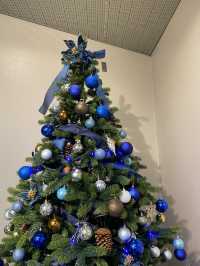 ［兵庫/神戸］紅葉×クリスマスマーケット🎄