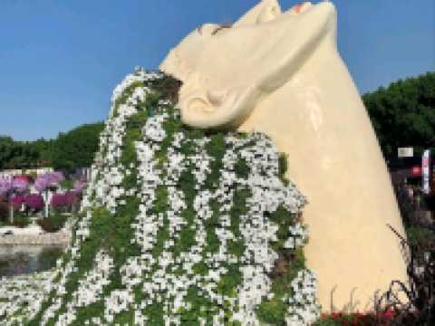 A Blooming Wonderland of Color and Creativity