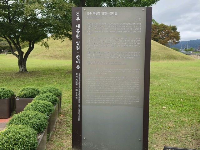 가을여행하기에 너무 좋은 경주 대릉원 가을여행하기에 너무 좋은 경주 대릉원