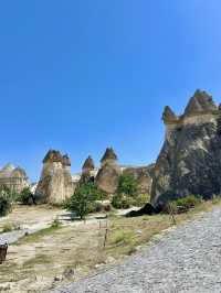 반나절 투어 즐기기