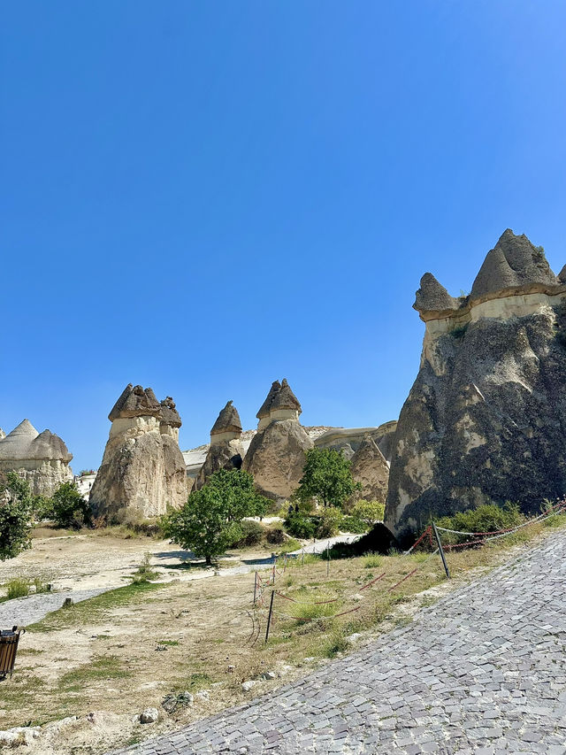 반나절 투어 즐기기 반나절 투어 즐기기