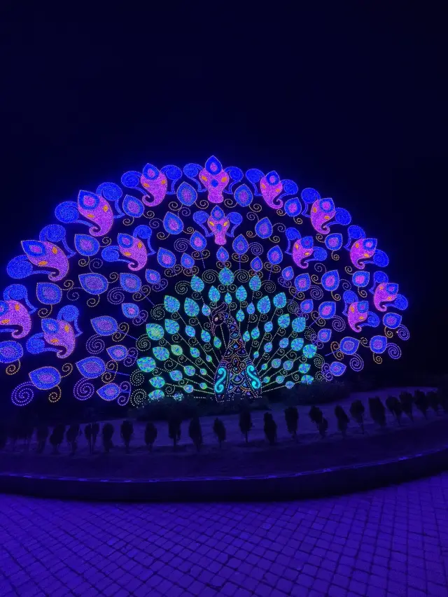 ✨ Carnival Magic – Phuket’s Most Magical Night! ✨