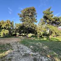 Gellért Hill Gellért-hegy