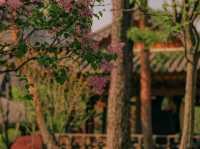 🕊️ Bongeunsa Temple – A Peaceful Escape in the Heart of Gangnam