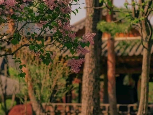 🕊️ Bongeunsa Temple – A Peaceful Escape in the Heart of Gangnam