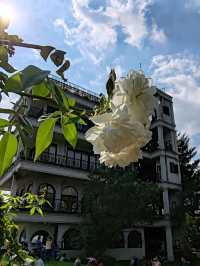 Mountain Retreat at Farmhouse Susu Lembang