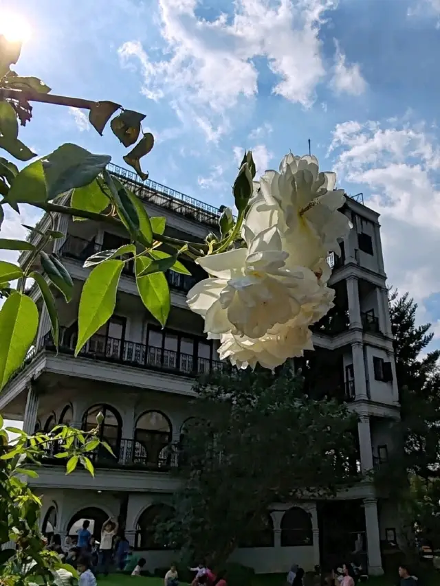 Mountain Retreat at Farmhouse Susu Lembang
