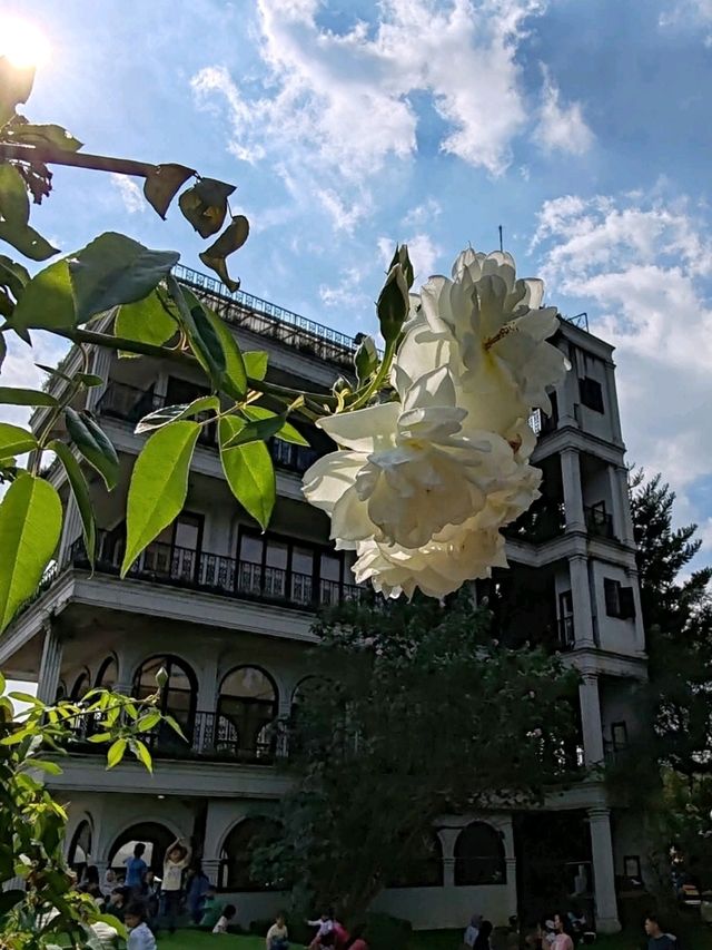 Mountain Retreat at Farmhouse Susu Lembang Mountain Retreat at Farmhouse Susu Lembang