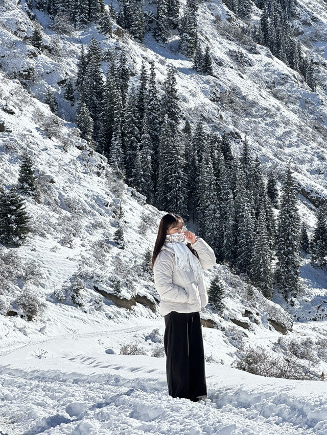 중앙아시아의 스위스, 키르기스스탄 알틴 아라샨! ❄️🏔️