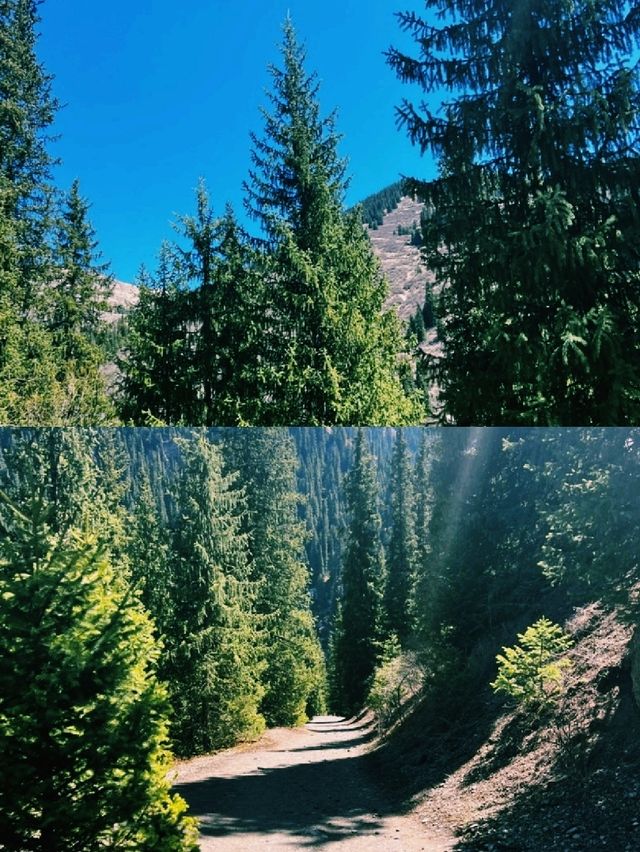 숲이 숨겨둔 신비로운 물결을 만난 하루 숲이 숨겨둔 신비로운 물결을 만난 하루