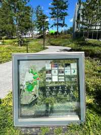 大阪的城市綠洲GRAND GREEN OSAKA 與大師安藤忠雄的建築VS.感受光影變化的午後愉悅